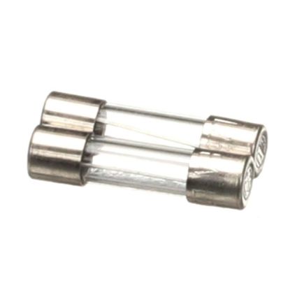 Picture of Blodgett Fuses F5/f6 8A 2 Pcs Part# 61615