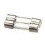 Picture of Blodgett Fuses F5/f6 8A 2 Pcs Part# 61615