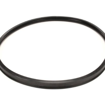 Picture of Blodgett Gasket Blc23/blc6e Door Blade Part# 62479