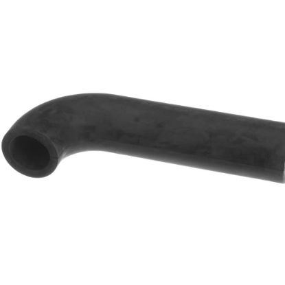 Picture of Blodgett Hose For Drain Pump Part# 62935