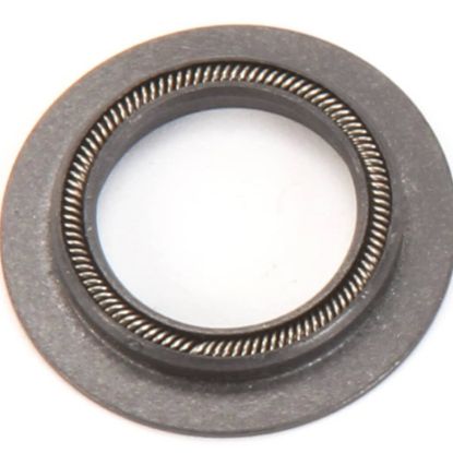 Picture of Blodgett Motor Shaft Seal Part# R4244