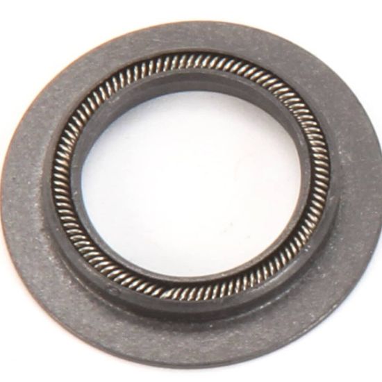 Picture of Blodgett Motor Shaft Seal Part# R4244