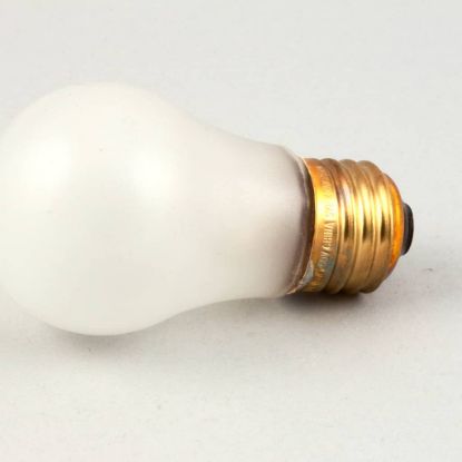 Picture of BKI Bulb, Stc-t Coated 40W 230V Part# B0553