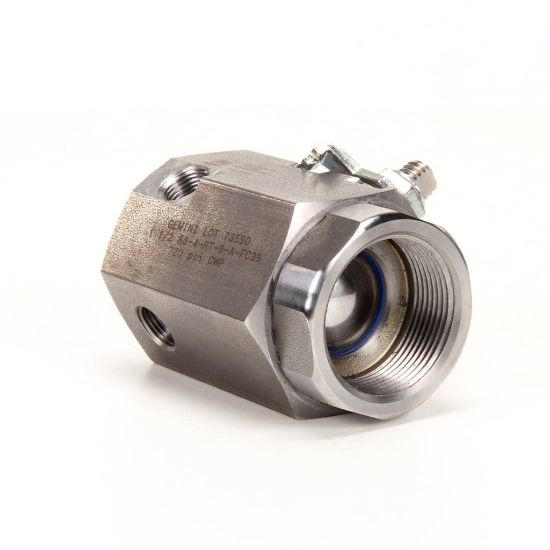 Picture of BKI Drain Valve Replacement Part# MB19101000