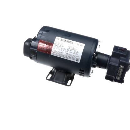 Picture of BKI Motor W/pump 115-208V230v 50/60Hz Part# M0121