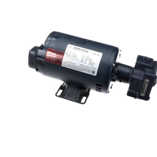 Picture of BKI Motor W/pump 115-208V230v 50/60Hz Part# M0121