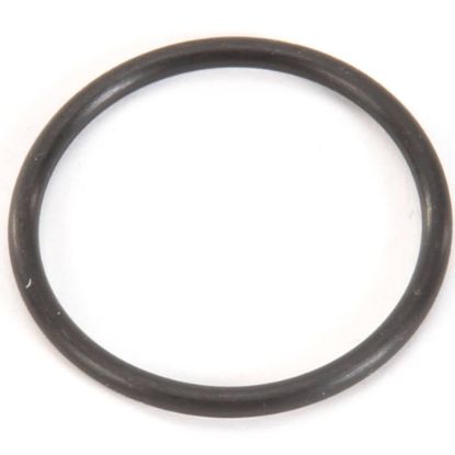 Picture of BKI O-ring, Parker #2-124 Large Part# O0014