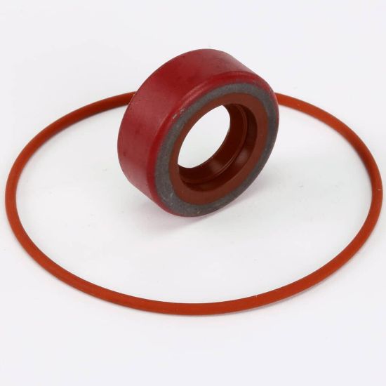 Picture of BKI Repair Kit, Haight Pump Part# RK0004