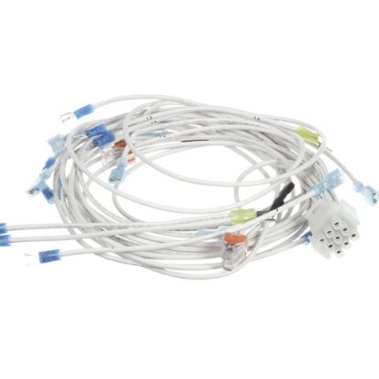 Picture of BKI Wire Harness, Control Panel, Part# WH0030