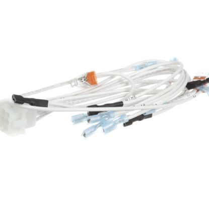 Picture of BKI Wire Harness, Control Plate, Part# WH0034