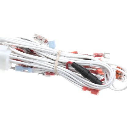 Picture of BKI Wiring Harness, Cp0066 Part# WH0154