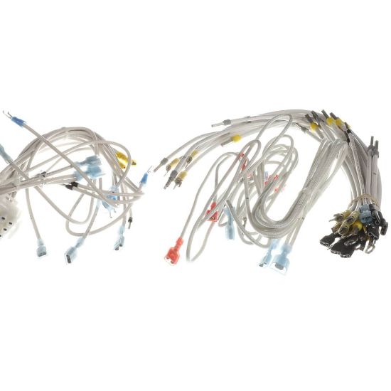 Picture of BKI Wiring Harness, Control Plate Part# WH0167