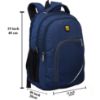 Picture of Blowzy Bags College Bags Casual Travel bagpack/School Backpack Bag (Navy Blue)