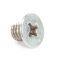 Picture of Turbochef Screw Part# 101402