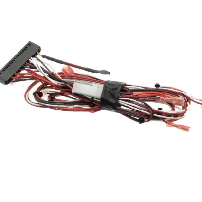 Picture of Turbochef Wiring Harness, Lo-voltage, Main Part# HHB-8311.B