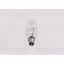 Picture of Broan Lamp Bulb 40W Part# B02300264