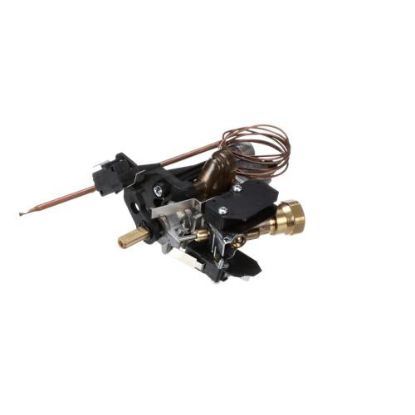 Picture of Bertazzoni Thermostat Part# 503121