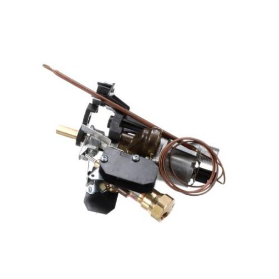 Picture of Bertazzoni Thermostat Part# 503156