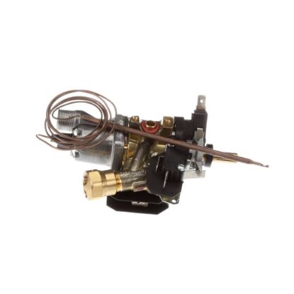 Picture of Bertazzoni Thermostat Part# 503158