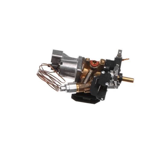 Picture of Bertazzoni Thermostat Part# 503187