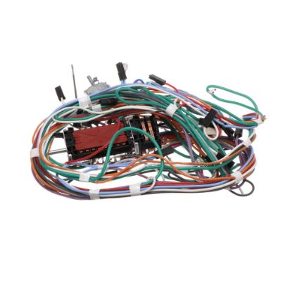 Picture of Bertazzoni Wiring For Lamp+c.fans+ignition Part# 6017164