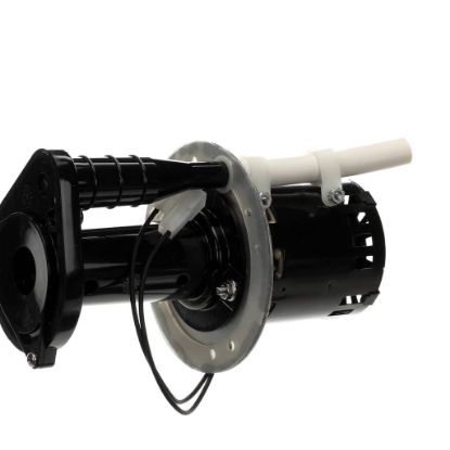 Picture of Bunn Pump & Motor Kit, 240V 50Hz Part# 7097.0008