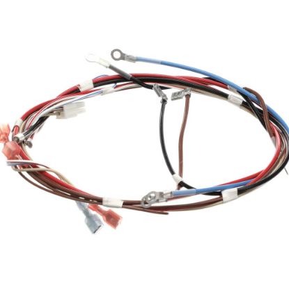 Picture of Bunn Wiring Harness, Main H5x Element (Food) Part# 12576.0017