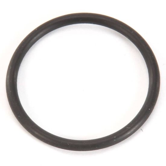 Picture of Bunn O Ring Part# 24733.001