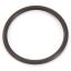 Picture of Bunn O Ring Part# 24733.001