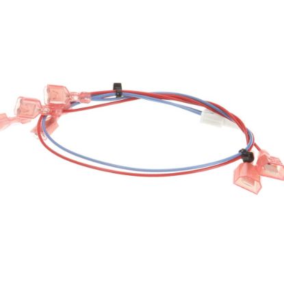 Picture of Bunn Wiring Harness, Door 120V Part# 28336