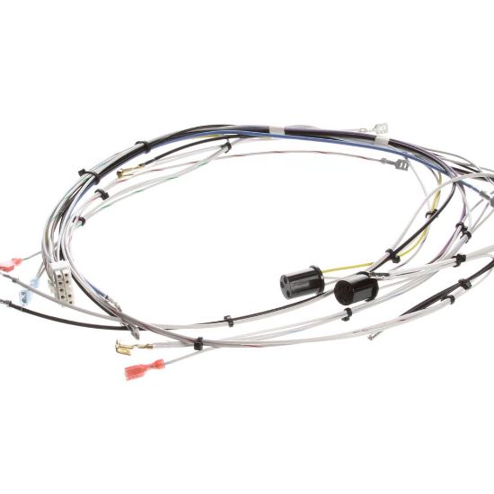 Picture of Bunn Wiring Harness, Main 120V Part# 29072