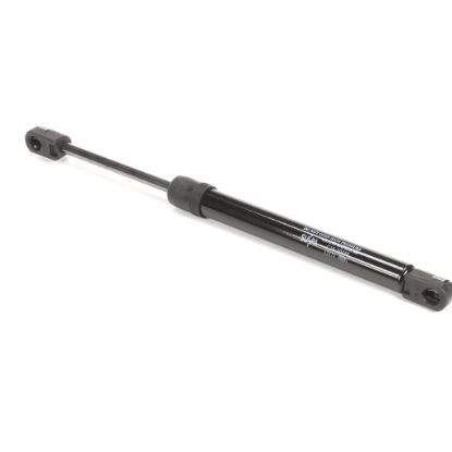 Picture of Bunn Kit, Gas Spring Assembly Th Door 1/Kit Part# 33111.1001