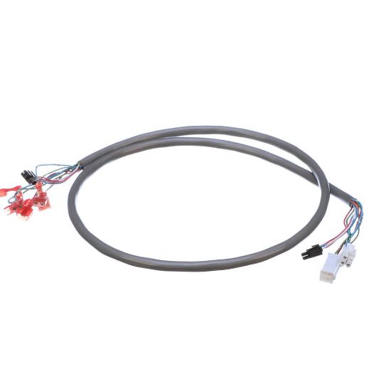 Picture of Bunn Wiring Harness, Door Interconnect 120V (Right Side Hinge) Part# 36888.0001