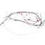 Picture of Bunn Wiring Harness, Power 120V Part# 36849