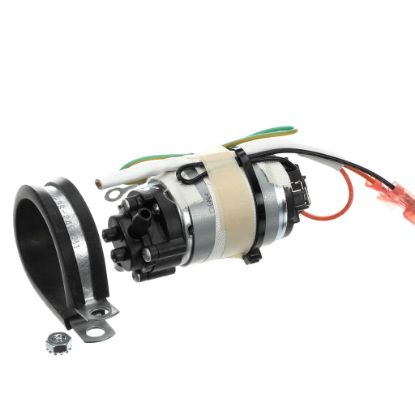 Picture of Bunn Pump Assembly. Part# 37084.1003