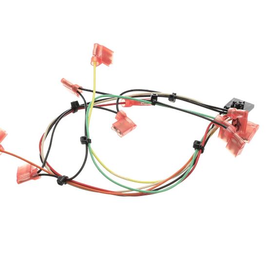 Picture of Bunn Wiring Harness, Switches Part# 38941