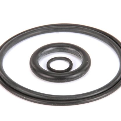 Picture of Bunn Kit, O-ring Part# 43292.1