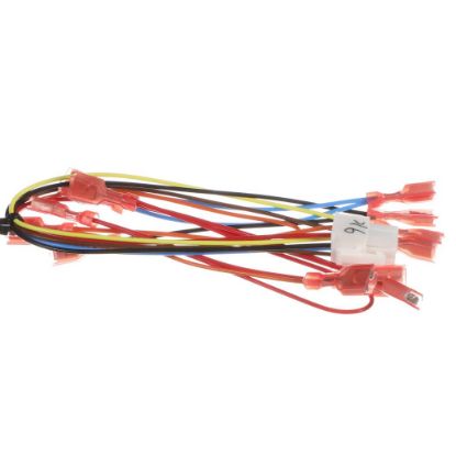 Picture of Bunn Wire Harness, Motor Cover Assembly Cfv Part# 43841.0002