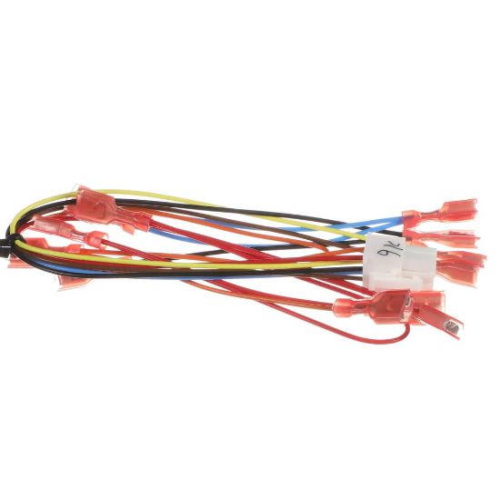 Picture of Bunn Wire Harness, Motor Cover Assembly Cfv Part# 43841.0002