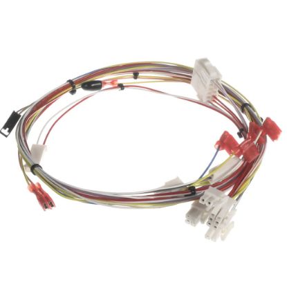 Picture of Bunn Wiring Harn, Main-low Voltage-cbdspct Part# 53930