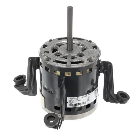 Picture of Carrier Motor, Blower, 1/2 Hp Part# HD44MR126