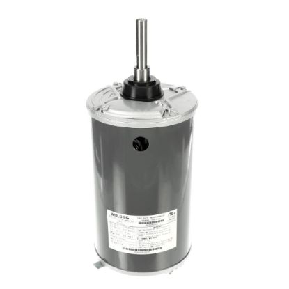 Picture of Carrier Motor Part# HD52AZ002