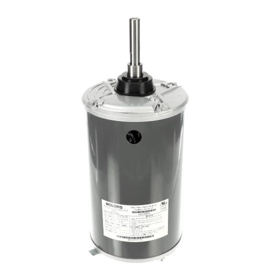 Picture of Carrier Motor Part# HD52AZ002