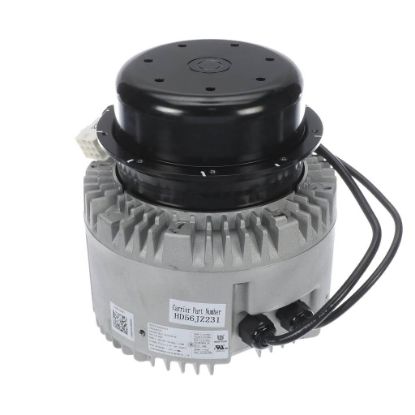 Carrier Motor 1Hp Part# HD52VE214 - PartsXP