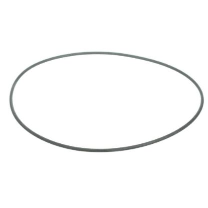 Picture of Carrier O-ring Part# KK71EW263