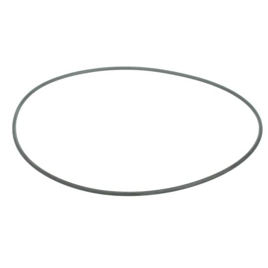 Picture of Carrier O-ring Part# KK71EW263