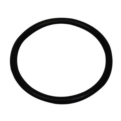Picture of Carrier O-ring Part# KK71EW223