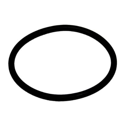 Picture of Carrier O-ring Part# KK71EW924