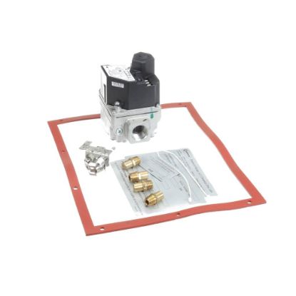 Picture of Cleveland Kit Gemin Gas Conversion Part# 114594