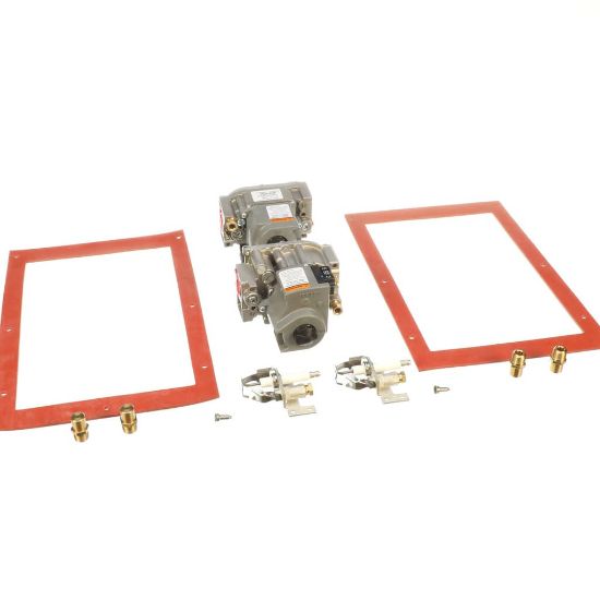 Picture of Cleveland Gas Conversion Kit Gemin Part# 114593